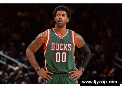 NBA的球队数量及其分布情况简介