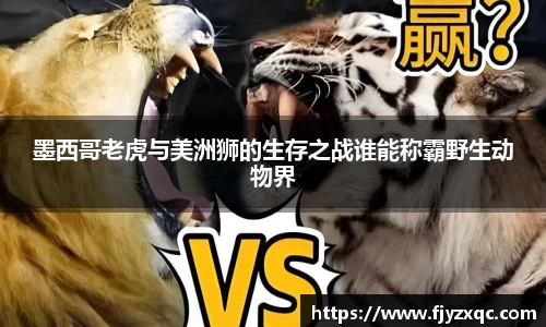 墨西哥老虎与美洲狮的生存之战谁能称霸野生动物界